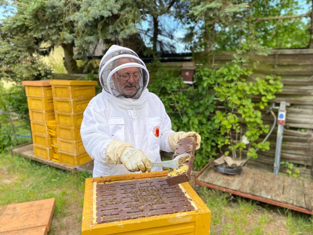 Insel-Imker Lothar Wilke betreibt in Sallenthin auf Usedom eine Bienenzucht. Beim Ernten des Honigs ist Schutzkleidung Pflicht.